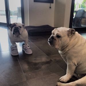 Image post by @robdyrdek on Instagram