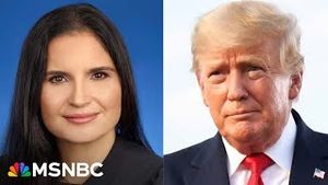 Video post by @msnbc on YouTube