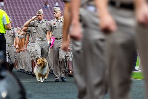 Image post by @tamu on Instagram