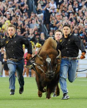 Image post by @cuboulder on Instagram