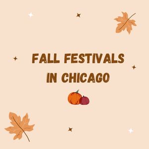 Video post by @chicago.by.ren on TikTok