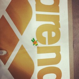Image post by @arenausa on Instagram