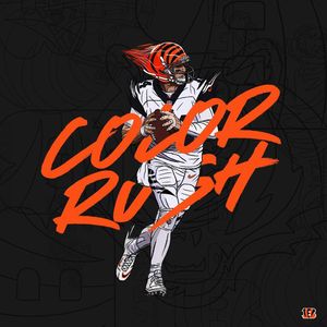 Image post by @bengals on Instagram