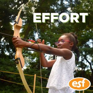 Image post by @esfcamps on Instagram