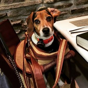 Image post by @laraleatrump on Instagram