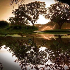 Image post by @kiawahresort on Instagram