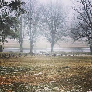 Image post by @kentuckythreedayevent on Instagram