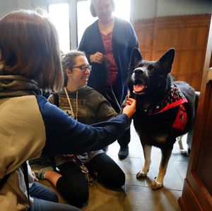 Image post by @vanderbiltu on Instagram
