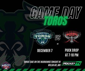 Image post by @masoncitytoros on Instagram