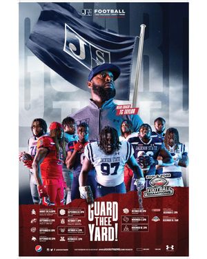 Image post by @gojsutigers on Instagram