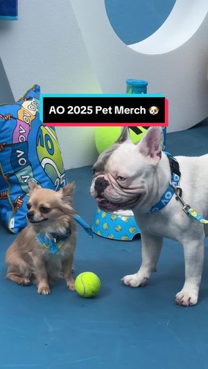 Video post by @ausopen on TikTok