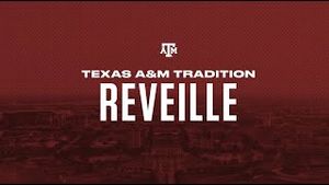 Video post by @tamu on YouTube