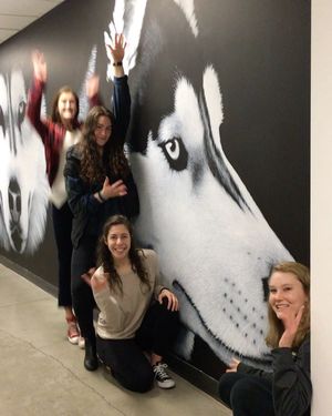 Image post by @uwgymnastics on Instagram