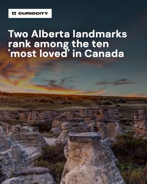 Image post by @curiocitycalgary on Instagram
