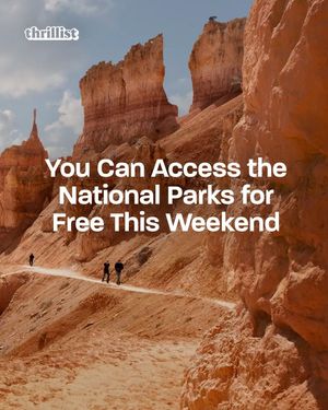 Image post by @thrillist on Instagram
