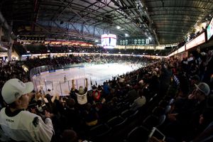 Image post by @WHLsilvertips on Twitter