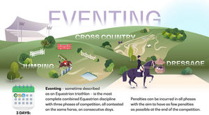 Image post by @NZHorseAmbulanceTrust on Facebook