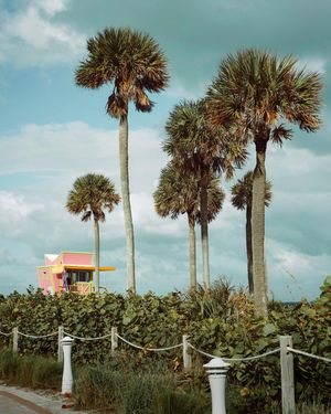 Image post by @jarrettmarc_ on Instagram