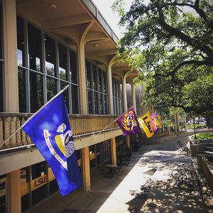Image post by @lsucampuslife on Instagram