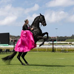 Image post by @australianturfclub on Instagram