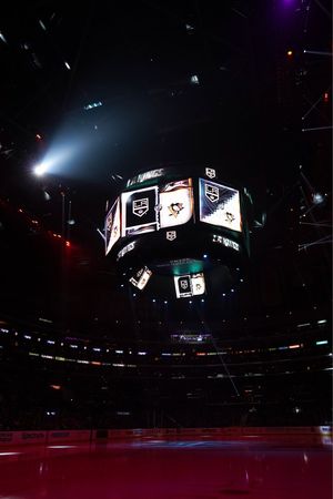 Image post by @penguins on Twitter