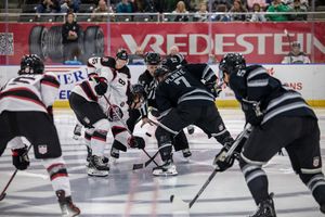 Image post by @scheelsarena on Instagram