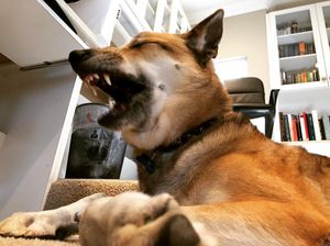 Image post by @chief.stagram on Instagram