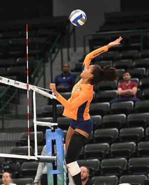 Image post by @utepvb on Instagram