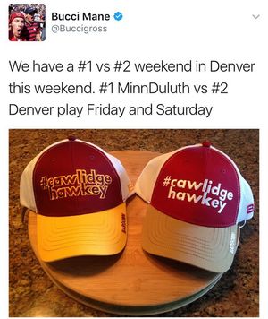 Image post by @du_hockey on Instagram