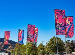 Image post by @nocturnalwland on Instagram
