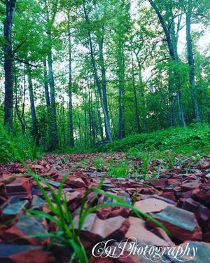 Image post by @c91photography on Instagram