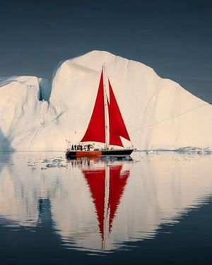 Image post by @fubiz on Instagram