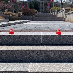 Image post by @stonybrooku on Instagram