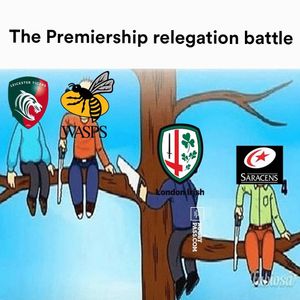 Image post by @rugbypass on Instagram
