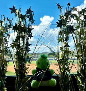 Image post by @csubucssoftball on Instagram