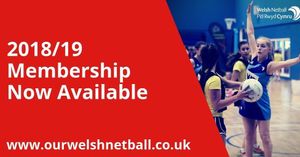 Image post by @walesnetball_ on Instagram