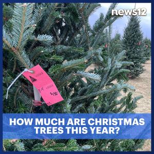 Image post by @news12li on Instagram