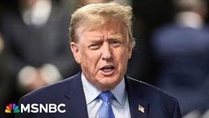 Video post by @msnbc on YouTube
