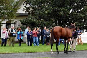 Image post by @spendthriftfarm on Instagram