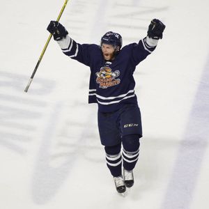 Image post by @swamprabbits on Instagram