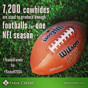 Image post by @farmcredit on Instagram
