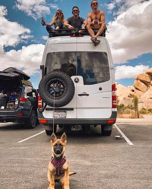 Image post by @owl.van.engineering on Instagram