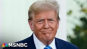 Video post by @msnbc on YouTube