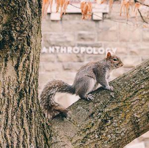Image post by @cornellstudentlife on Instagram