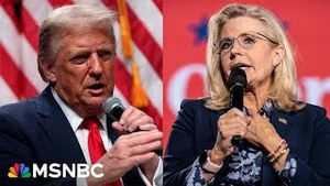 Video post by @msnbc on YouTube