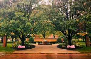 Image post by @olivetnazarene on Instagram