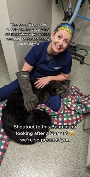 Image post by @binghamtonu on TikTok