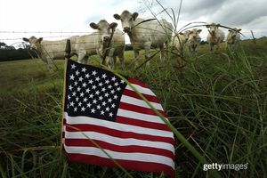 Image post by @gettyimages on Instagram