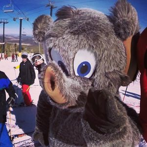 Image post by @uscskiandsnowboard on Instagram