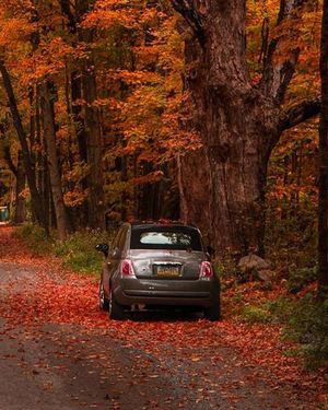 Image post by @fiatusa on Instagram